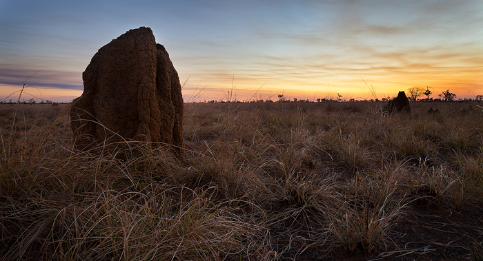 Termite Mounds – West Kimberley, Australia