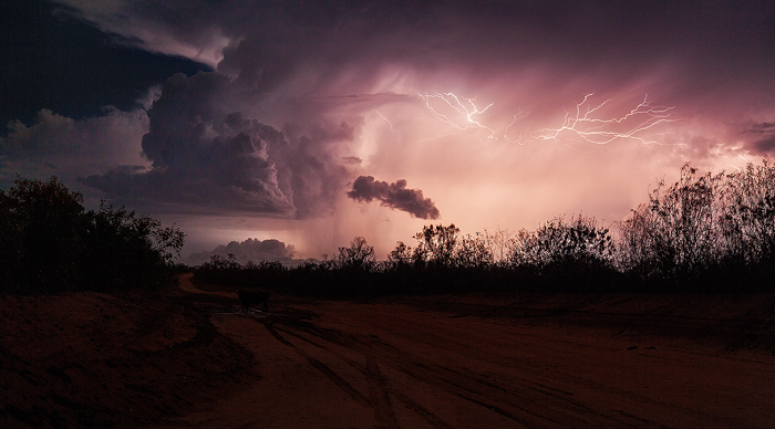 Storm Wings - Cape Leveque Road, Australia